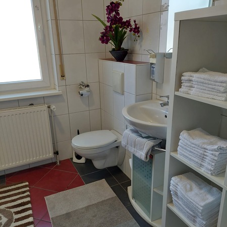 WIEDER-ERÖFFNUNG 07.04. SCHWALBENNEST, Kaiserslautern