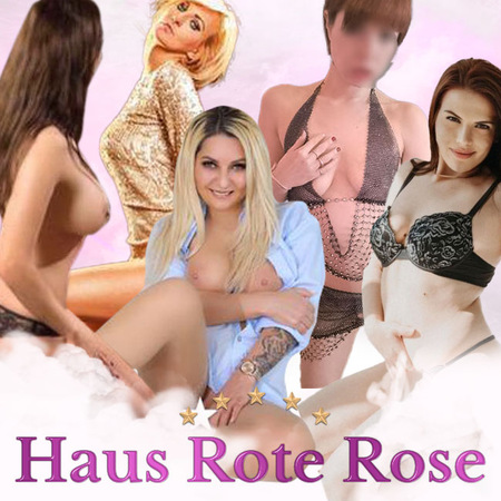 Haus Rote Rose, Messel
