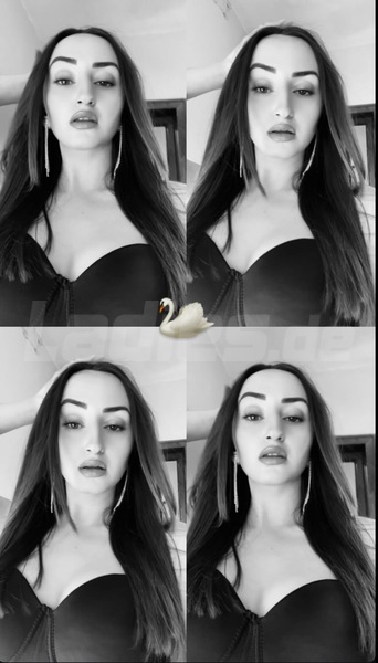 Foto von Viki