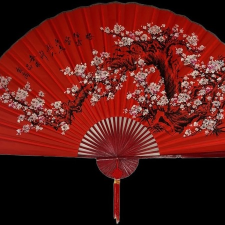Orchidee Massage- Kontakt nur per WhatsApp und SMS