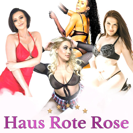 Haus Rote Rose - Klimatisierte Räume, Messel