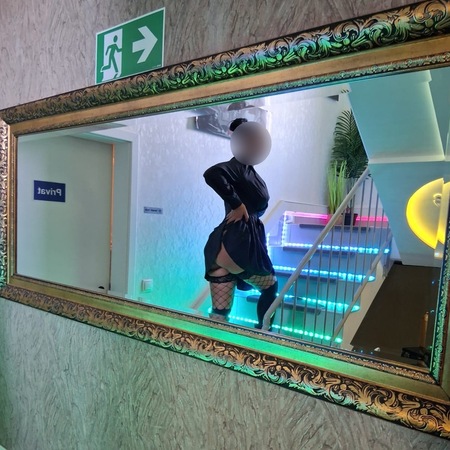 Dia - Ganz Neu!, Neustadt an der Weinstraße