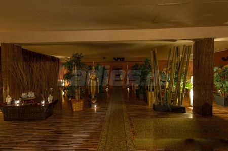 V.I.P. Massage Frankfurt, Offenbach am Main