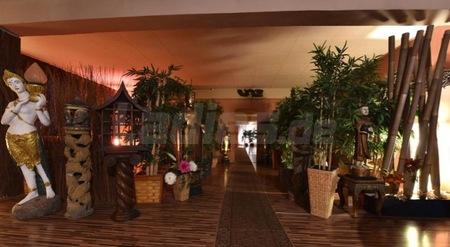V.I.P. Massage Frankfurt, Offenbach am Main