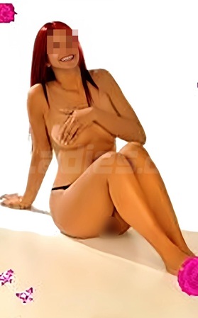 Candela 24 Std Behaart AV Top Service, Rosenheim