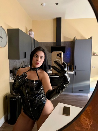 Stefani latina, Stuttgart