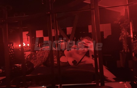 Bizarr Lady Jasmin - Besuchbar - Partygäste willkommen, München