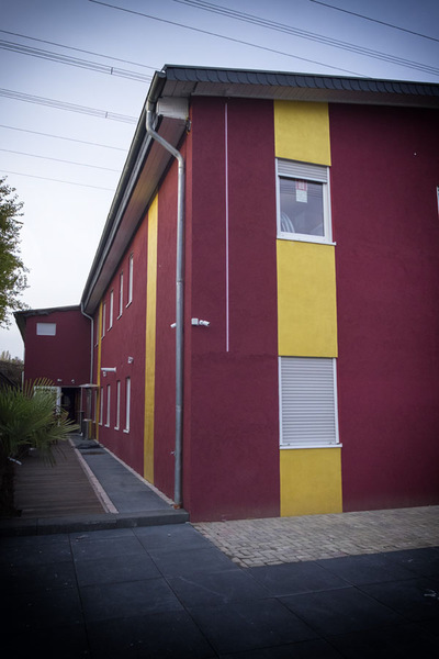 Foto von Lauter geile Früchtchen!