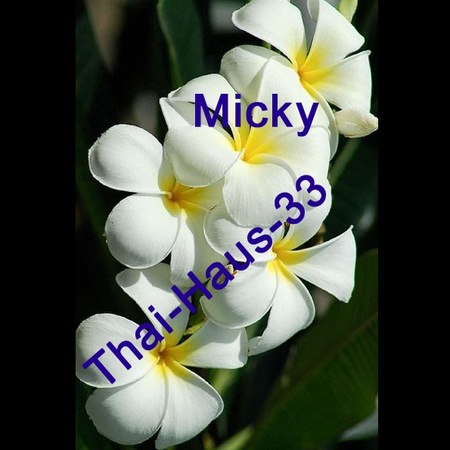 Micky - Thai Haus 33