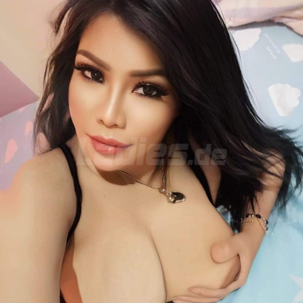 AV Kimmy