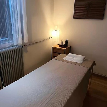Katze TCM, Bonn
