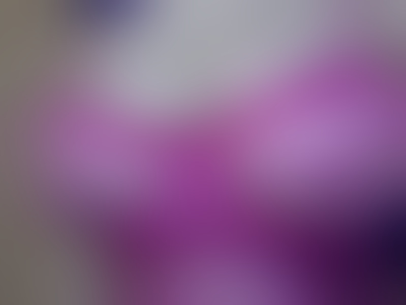 Foto von Ema  M+lf- AV Expertin