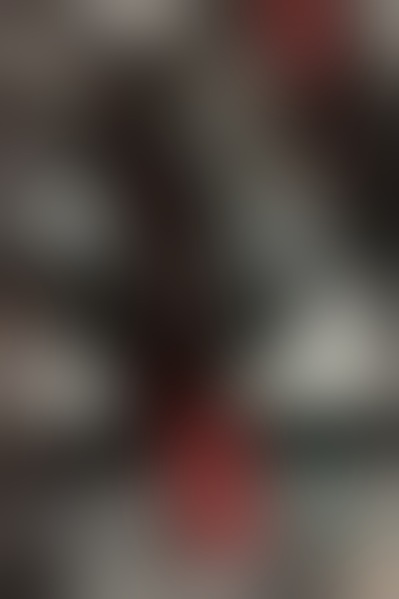 F*sting Queen Sofia – Moers photo 2