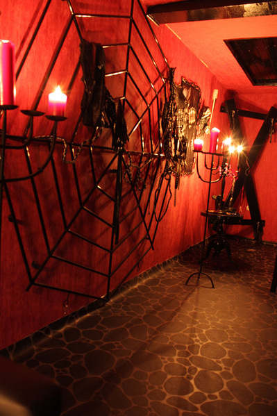 Foto von Lady Svenja