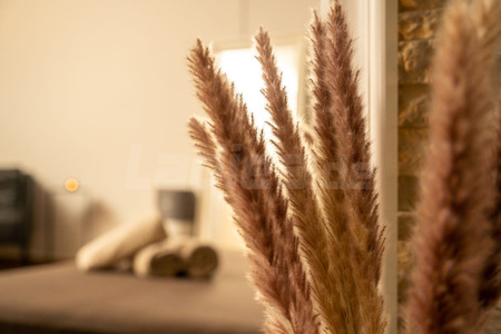 Karma Massage, Hannover