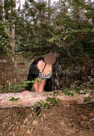 Aleina, Diepholz