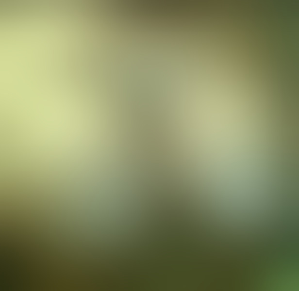 Foto von TS-Lorena- Zauberst*b 18/5cm