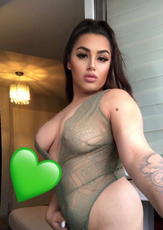 Orientalische Megi, Bremen