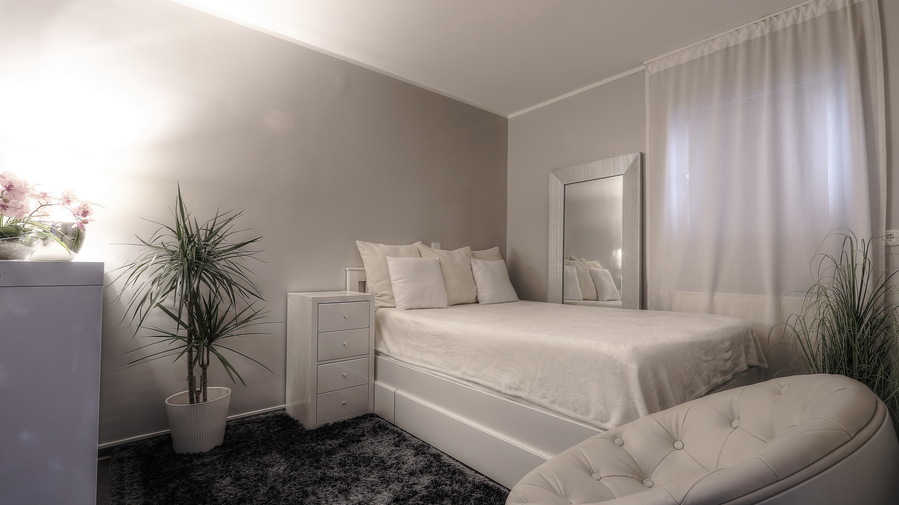 Foto von Hofer 19 Gartenhaus