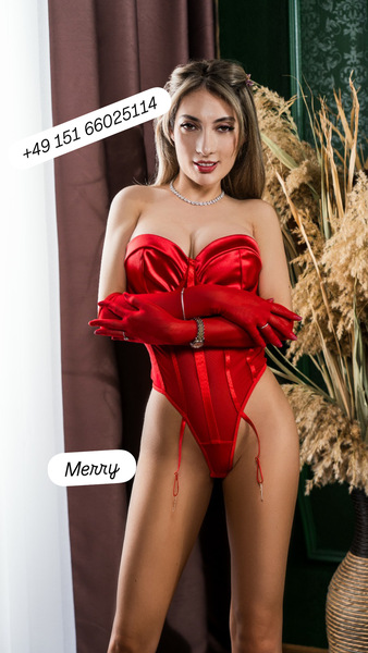 Foto von Merry 100%Original Bilder