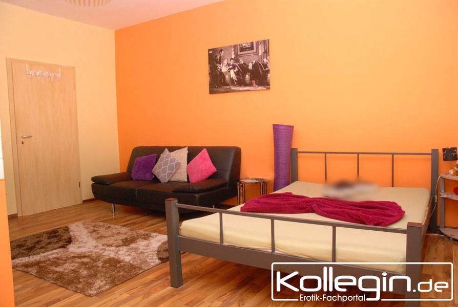 Foto von NO LIMIT LAUFHAUS / BAR