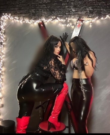 Salon Stella, Stuttgart