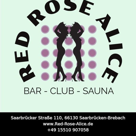 Red Rose Alice