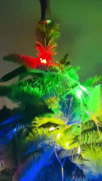 Foto von Sonnige Zeiten für guten Sex