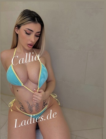 Callia, Stuttgart