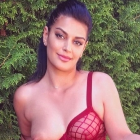 NIKOL-WildeKatze!!!, Uslar