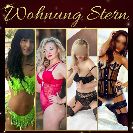 Wohnung Stern ANGEBOTSWOCHE, Plauen