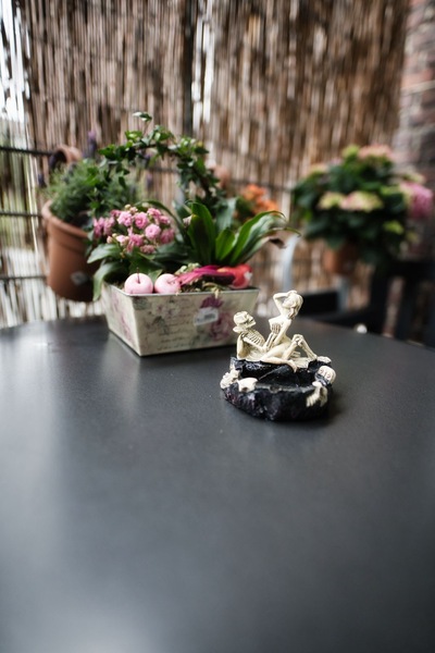 Foto von Kitty & Freundinnen