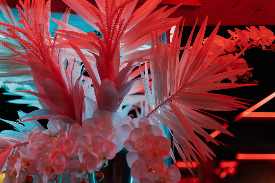 Foto von Simply the Best