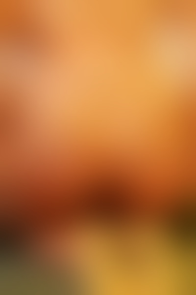 Foto von Svenja - Rhein-Main-Massage