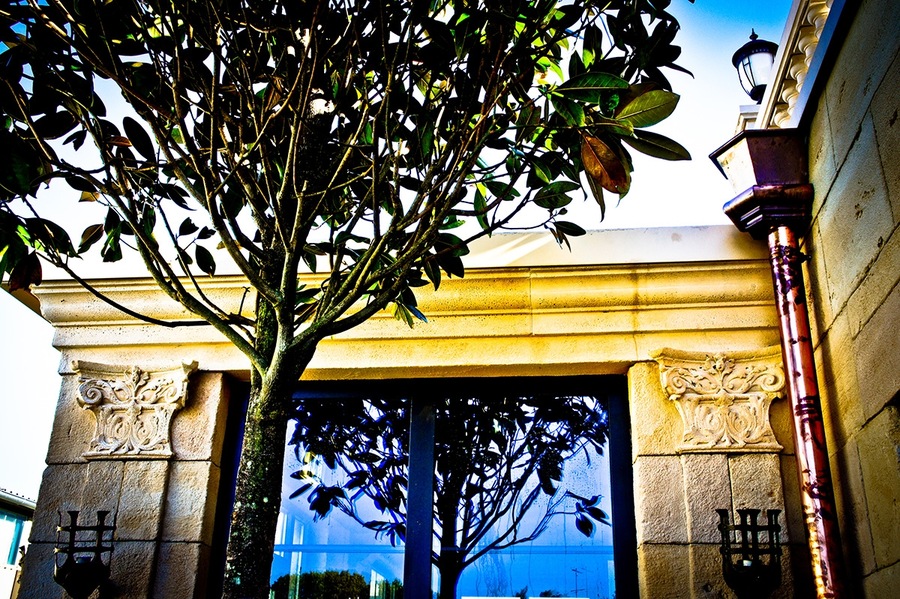 Foto von Leben wie Gott in Freiburg