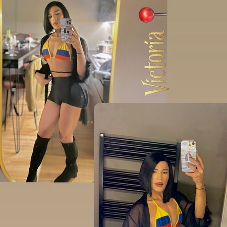 TS Victoria, Hannover