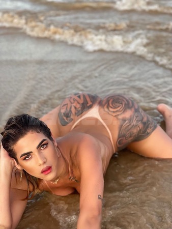Ts Imola, Osnabrück
