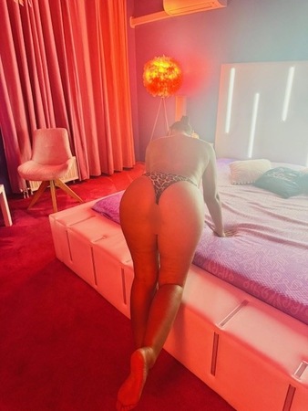 Kitties-Hier Miauzen die Kitties, Bürstadt