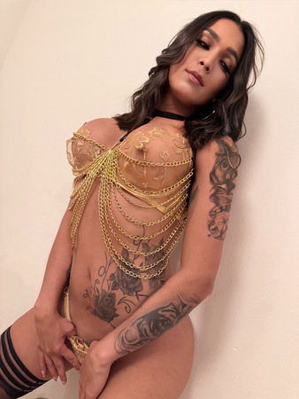 Ts Sofia Fire, Frankfurt am Main