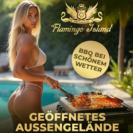 Flamingo Island