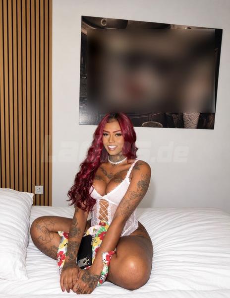 Foto von TS SEREIA MELL, PornoStar