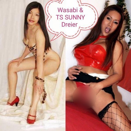 Wasabi Top AV X TS.Sunny. Doppelpack ( 3 ER ).!, Braunschweig