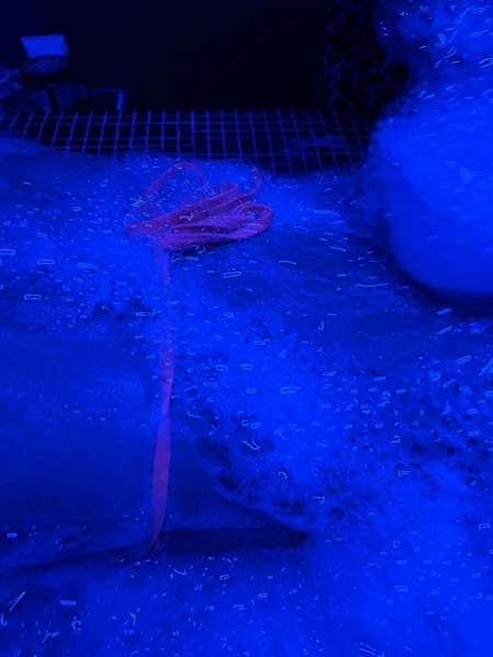 Foto von Spezielle Massage, ganz neu, privat Luxus pur bei sexy Maja