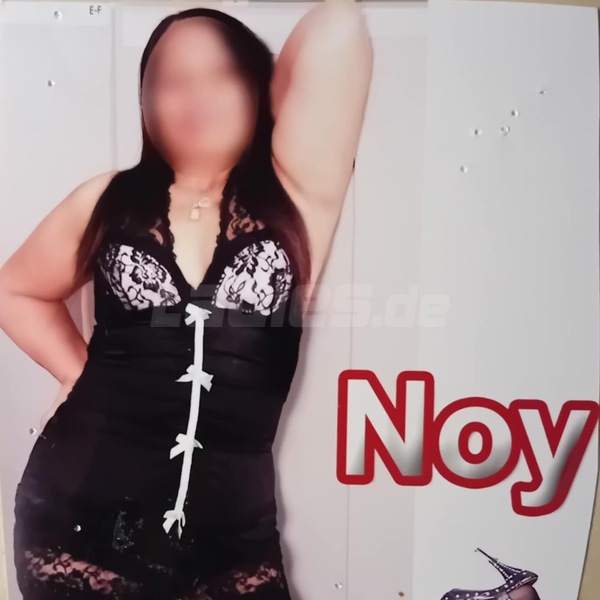Noy