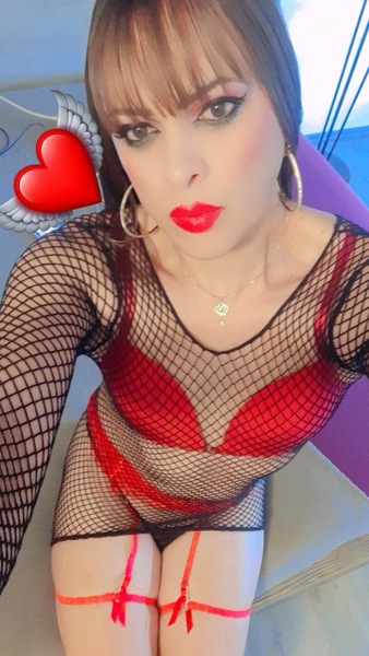 Foto von TS Samantha Anfänger/Experte