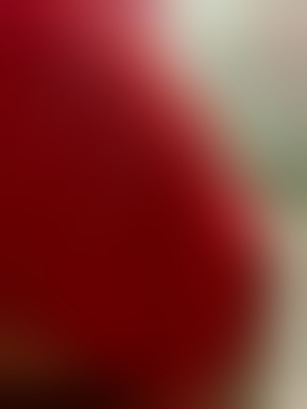 NORA TOP-SERVICES FÜR PRIVAT UND WEB-CAM ON-LINE, Ulm