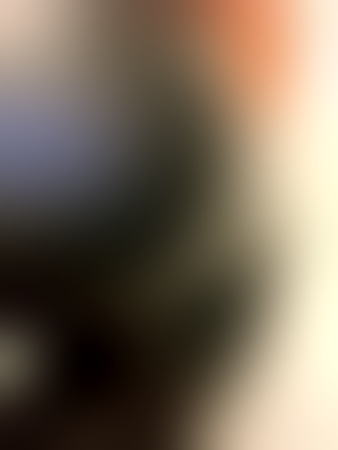 NORA TOP-SERVICES FÜR PRIVAT UND WEB-CAM ON-LINE, Ulm