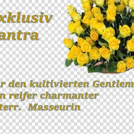 "Lenee`s Exklusiv - Tantra f. d. seriösen Gentleman", München-Harlaching