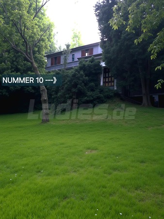 Haus Waldesruh, Gummersbach