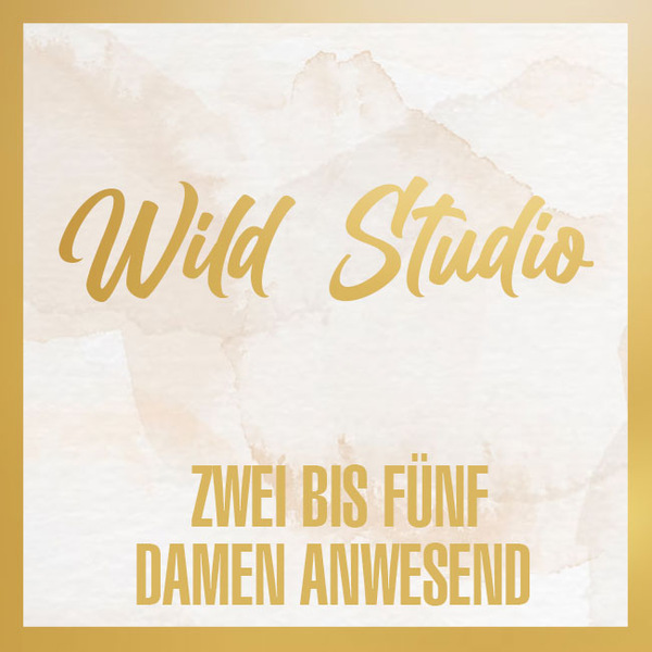 Wild Studio